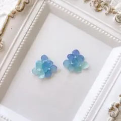 008 紫陽花 ブルーグラデーション