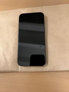iPhone 13 Pro Max 512GB 香港版 シャッター音なし - メルカリ