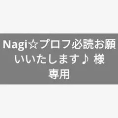 専用ページ