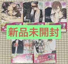 ★新品未開封★美しい彼シリーズ 全5冊セット