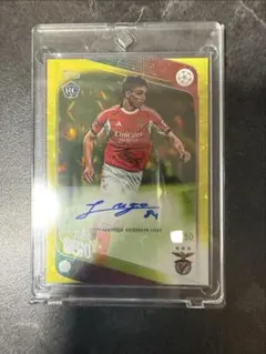 Topps JAPAN Edition Joao Rego auto /50