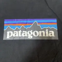 patagonia 長袖Tシャツ L ブラック