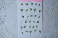 ふるふる様 リクエスト 2点 まとめ商品