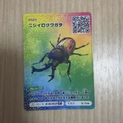 ☆ムシキング 2008夏レインボー ニジイロクワガタ（赤） 希少☆ - メルカリ
