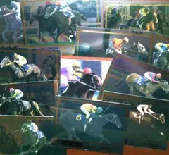 サラブレッドカード ザ・グレードワン20世紀の名馬 11枚+チェックリスト1枚