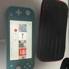 Nintendo Switch Lite 充電器　ケース付き