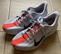 NIKE PEGASUS PLUS ペガサスプラス 26