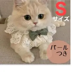 Item thumbnail for item fc84cfb6-0d88-452b-80fc-241e9452160d