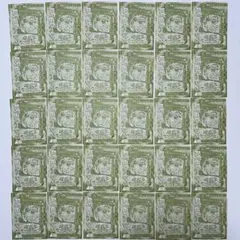 Vジャンプ 4月号 付録 遊戯王OCG 憑依共鳴─ウィン 30枚