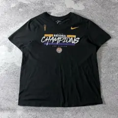 サンフレッチェ広島 NIKE 2012 Jリーグ チャンピオン記念 Tシャツ M