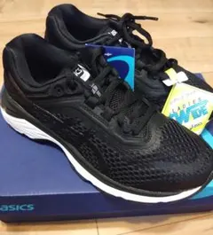 ※自己camp満様専用※(22.5)asics GT-2000 NEWYORK6のサムネイル
