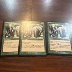 マジック：ザ・ギャザリング 獣群の呼び声 Call of the Herd 4枚