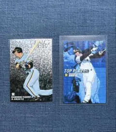カルビープロ野球チップスカード 阪神 シーツ キラカード2枚(通販限定ほか)