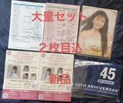 南野陽子 40周年コンサート グッズ まとめ売り 新品 - メルカリ