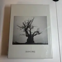 Item thumbnail for item 03f460a5-8978-442a-a81c-47fb74b24ce7