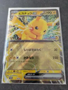 未開封 ピカチュウex ジャンボカード ポケモンメガスタンプラリー 2025