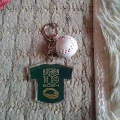 Item thumbnail for item 6042cf53-0d8f-400d-bd09-be4426503433