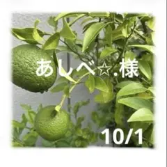 あしべ✩様　10月おまとめページ