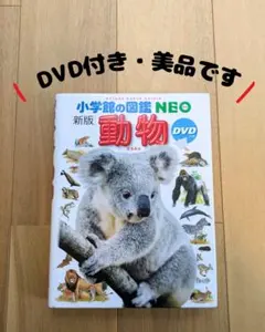 Item thumbnail for item cb25e0c1-bb0f-490e-bf41-428daf088975