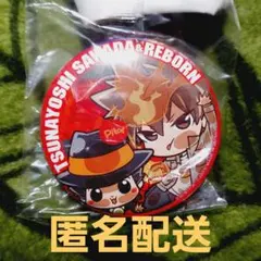 家庭教師ヒットマンREBORN 沢田綱吉 リボーン 缶バッジ ぴた!でふぉめ