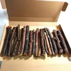 Item thumbnail for item 63add84f-a23b-4aff-8d27-4e9410e368b7