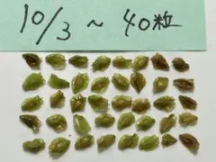 ak482様 リクエスト 3点 まとめ商品