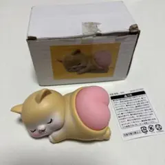 メディキューブ AGE-Rブースタープロ 美顔器 キャップ クマちゃん くま
