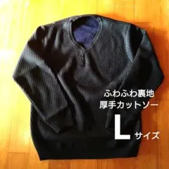 メンズ ニット 厚手 Lサイズ ブラック 裏地あり 防寒