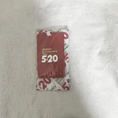嵐 5×20 定期ケース