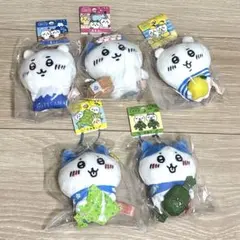 ⑥ハチワレ　ご当地