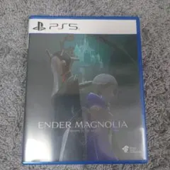 ENDER MAGNOLIA エンダーマグノリア