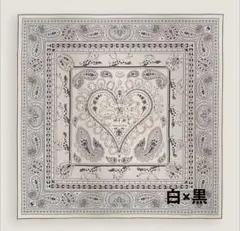 値下げNG 2025SS エルメス カシシル140 コーラスステラルム ホワイト 値下げNG 2025SS エルメス カシシル140 コーラスステラルム