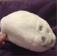 バナナチップス ファー帽子