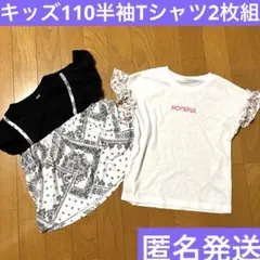 キッズ服　半袖Tシャツ　110 トップス　夏服　美品　2枚組　まとめ売り