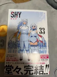 SHY 33