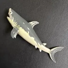 ホホジロザメ 宝島社　サメ＆シャチ 海のいきもの BOOK