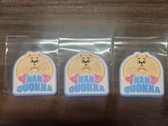 Stray Kids SKZOO オンラインくじ ステッカー　ハンクォッカ