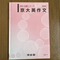 河合塾 2024 完成シリーズ 英語 京大英作文 テキストのみ