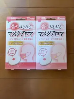 Item thumbnail for item 854471d6-0311-4168-a186-f2d919eaa29c