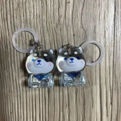 柴犬　豆柴　めじるしアクセサリー2点セット　クリア　プライズ品