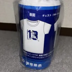 Item thumbnail for item da8d436b-ca98-41ea-a2cd-4ebaeaa65064