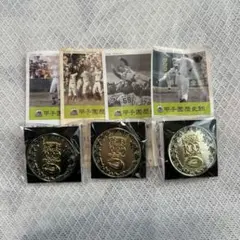 Item thumbnail for item b7c33997-0c19-4e70-96a4-49503858cc8a