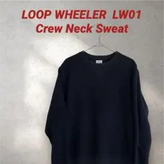 ループウィラー l