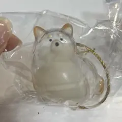 うちの子のけだまだま　犬のけだまだま「柴犬」