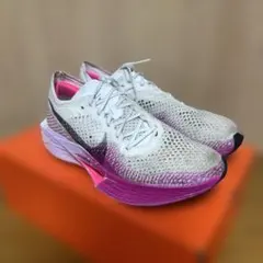 Item thumbnail for item 2f007c28-56d7-4714-be5e-5fd575f803a3