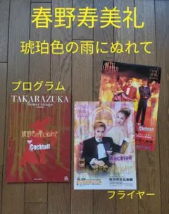 Item thumbnail for item 68a23297-ca43-494a-8d54-4a3e6c333643