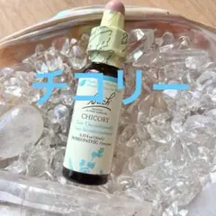 Item thumbnail for item 0a040ed3-6c15-4917-8d06-65c9a9d5d490