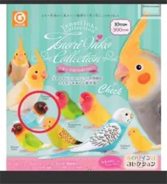 手乗りインココレクション　キュートなくちばしver ボタンインコb