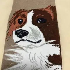 犬のデザイン靴下 ブラウンホワイト　 新品未使用