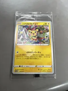 2026年最新】ピチュー カードeの人気アイテム - メルカリ